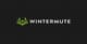 Wintermute, firma z rynku kryptowalut, została okradziona na 160 mln dolarów
