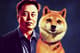 elon doge