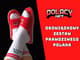 Twórcy kolekcji The Polacy rozpoczynają współpracę z firmą Kubota