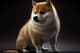 Dogecoin jest w TOP3 kryptowalut, które zmniejszyły swoją emisję CO2