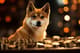 Shiba Inu wzrasta