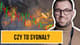 Spadek na rynku kryptowalut!