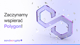 polygon zondacrypto