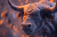 bitcoin byk