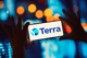 Terraform Labs składa wniosek o upadłość