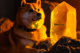 Hype na Dogecoin Ordinals.