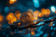 zondacrypto bitcoin