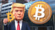 Wiemy jaki majątek w krypto posiada Donald Trump!