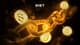 bybit on-chain earn