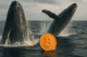 Binance Alpha bije rekordy, wieloryby spuszczają Bitcoina! Newsy 25.08