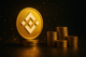 Fundusz BlackRocka za 2,5 mld USD trafia na Binance i BNB Chain