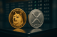 Przełom w Europie: XRP i Dogecoin wchodzą na giełdę dzięki WisdomTree