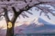 Japonia