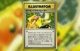 Karta Pokemon