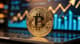 Kurs bitcoina ponownie poniżej 69 000 USD. W tle trwają przygotowania do hossy?