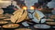 kurs bitcoina