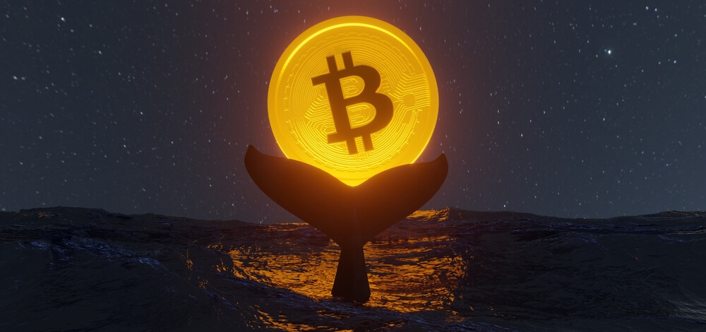 wieloryby bitcoin