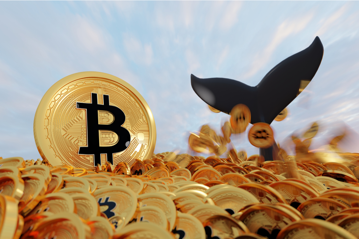 Wieloryby BTC z najniższym wynikiem posiadanych bitcoinów od 3 lat